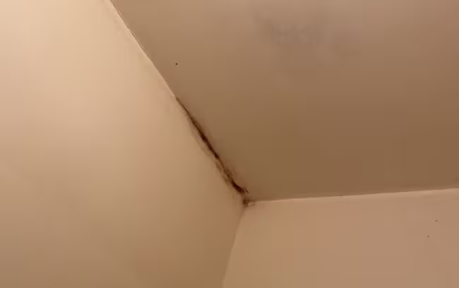 black-mold-growing-in-bathroom