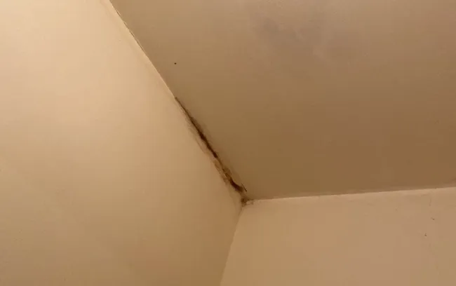 black-mold-growing-in-bathroom