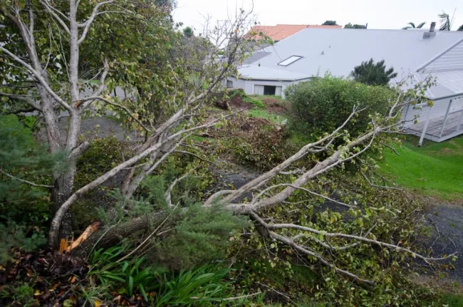 tornado-safety-tips