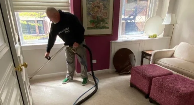 how-to-clean-a-shag-rug-at-home