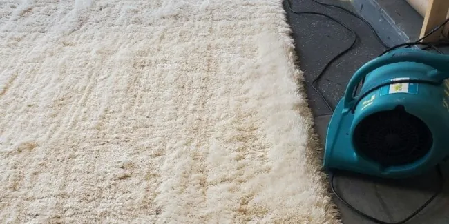 shag-rug-cleaning-chicago