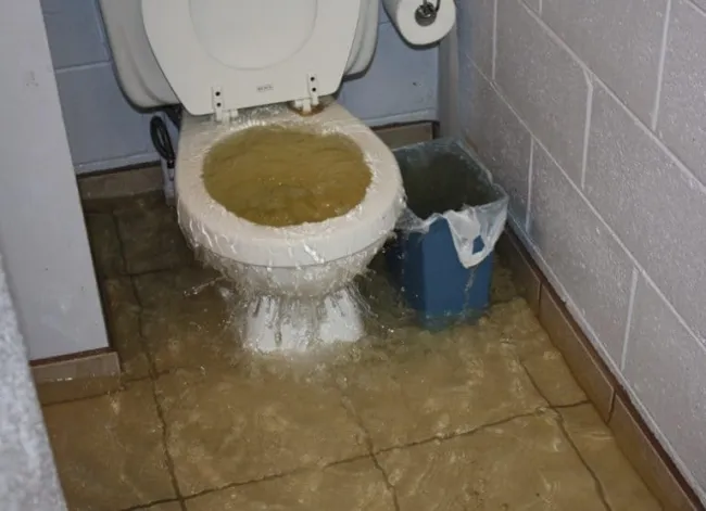overflowing toilet due to sewer and drain backup