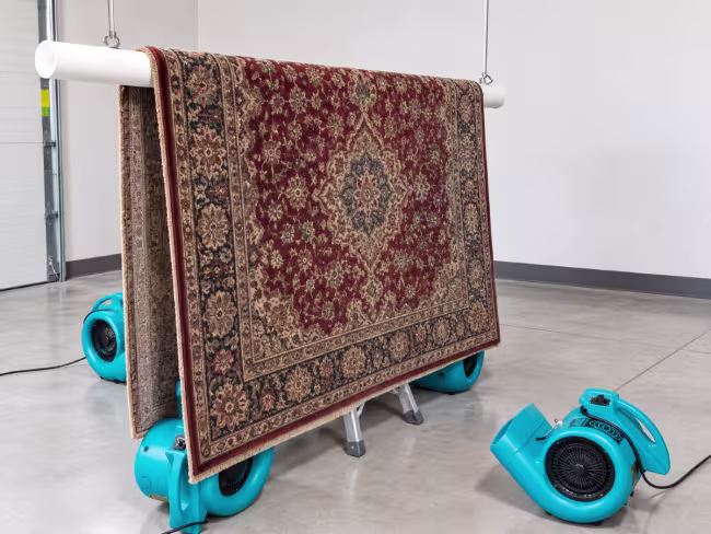 Area rug hanging and being dried out with ServiceMaster Airmovers