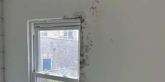 mold-window-condo-chicago
