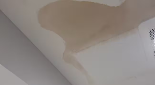 protect-your-lake-bluff-home-from-water-damage