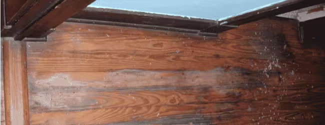 wood-floor-buckling-warped