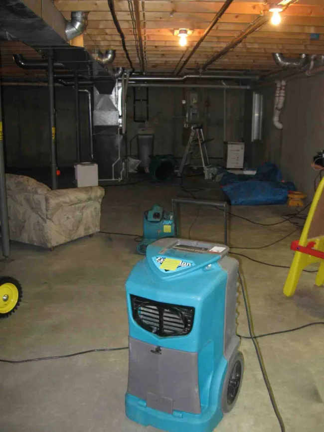 Basement Cleanup