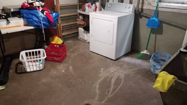 drying-basement-palatine