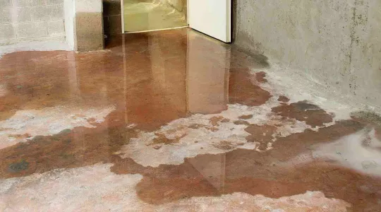 basement flooded with water