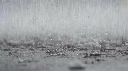 downpour of rain