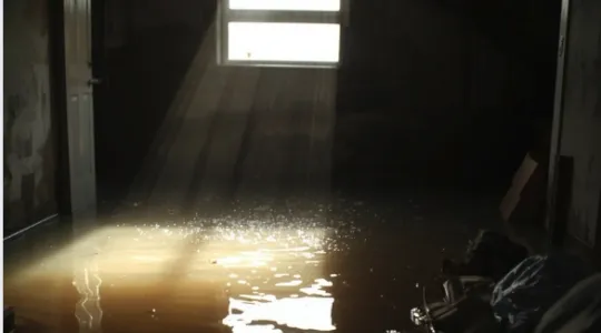 basement flooding in bergen county