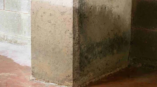 water damage in a basement