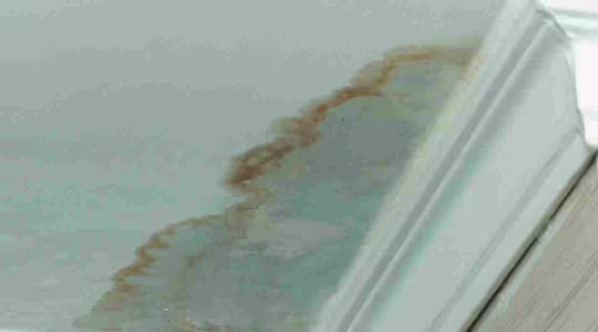 water stained ceiling