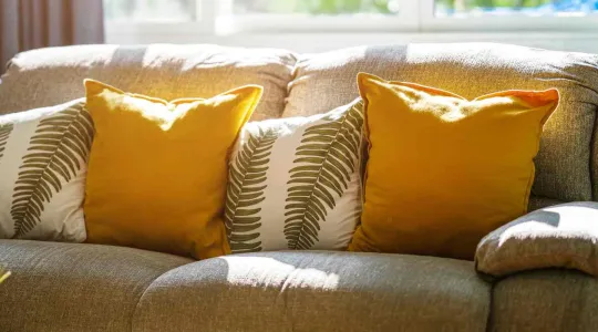 sun on couch