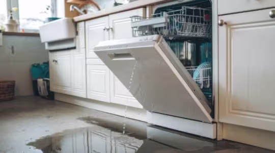 Dangers of ignoring an appliance leak in OKC