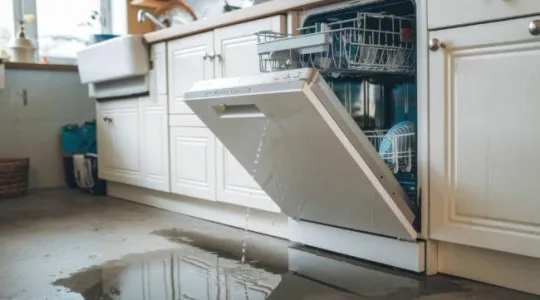 Dangers of ignoring an appliance leak in OKC