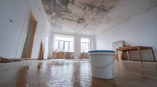 Tampa flood damage maintenance