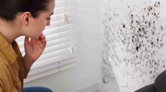 woman looking at mold on her wall