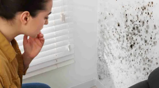 woman assessing mold on a wall