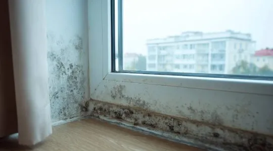Mold in Ada rental properties in East Central University