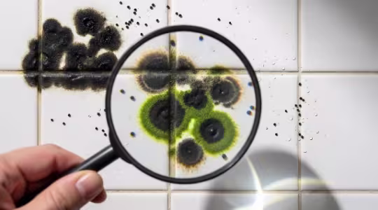 Signs of bathroom mold
