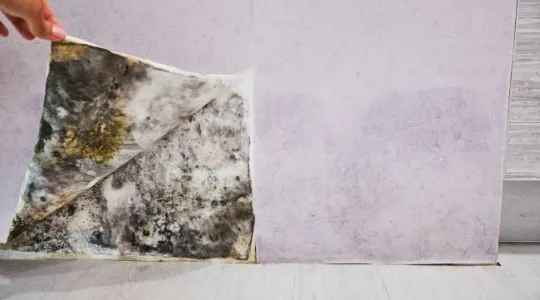 Hidden mold behind drywall after a spring storm in OKC