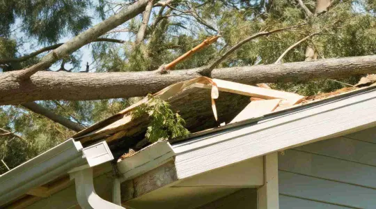 fallen tree on house from a storm