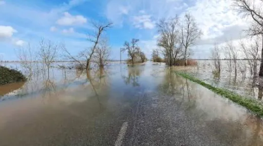 South corvallis winter flooding