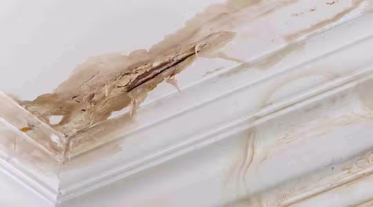 Ceiling water damage