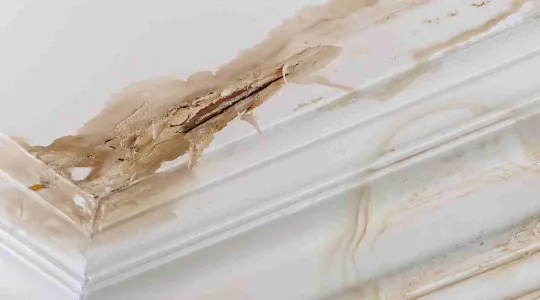 Ceiling water damage