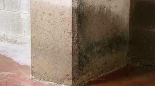 basement water damage