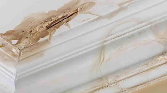 water damaged ceiling