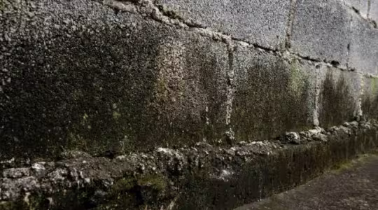 Foundation water damage from Tulsa's Clay-Heavy soil