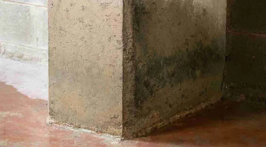 water seeping into a basement