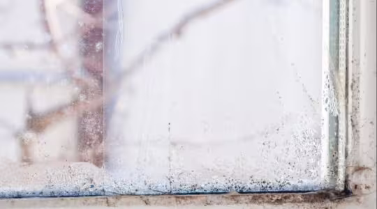 Hail damage leading to mold growth in Oklahoma City