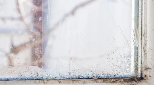 Hail damage leading to mold growth in Oklahoma City