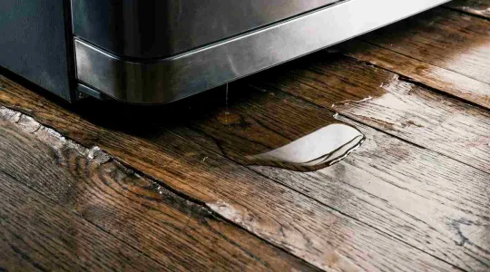 warped floor with water damage
