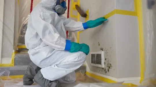 ServiceMaster Tech Mold Remedation