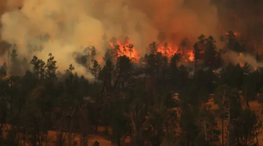 Wildfire Smoke and Fire Damage