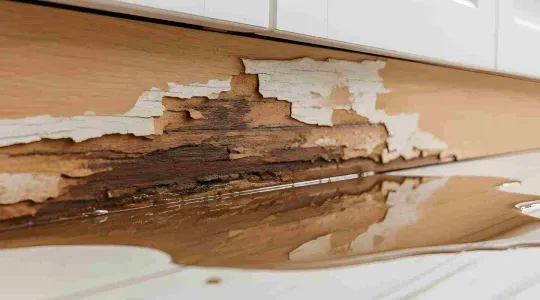 cabinet with water damage from dishwasher leak