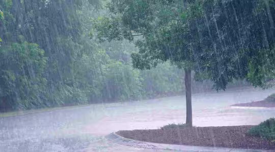 rain storm