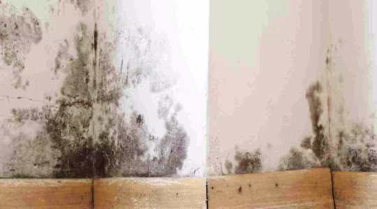 mold on wall due to ac problems