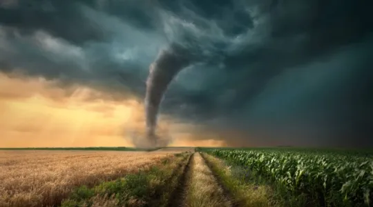 Tornado season preparation in a neighborhood