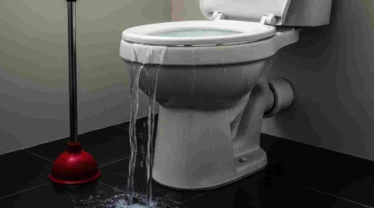 Toilet overflow