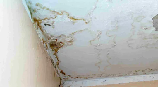 leaky roof with mold growing