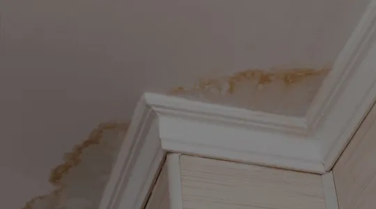 Mold