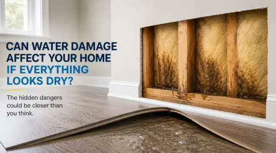 banner image showing moisture under flooring and wet insulation in drywall cavity