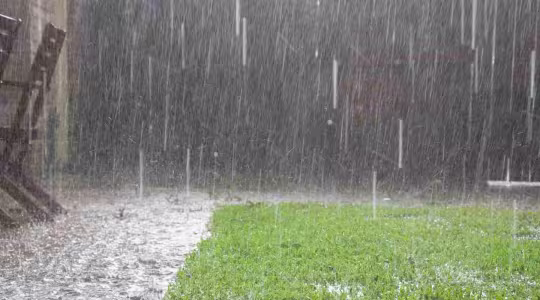heavy rainstorm coming down in backyard