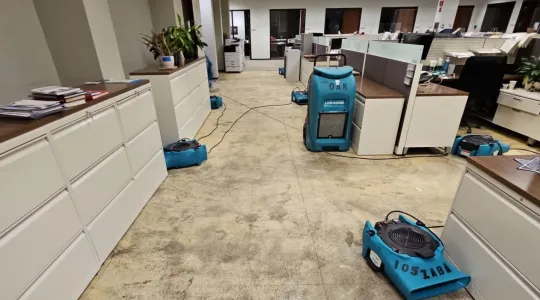 library-cleaning