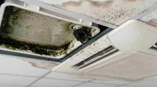 mold in commercial ceiling
